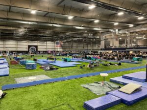 IMG_5239